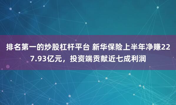 排名第一的炒股杠杆平台 新华保险上半年净赚227.93亿元，投资端贡献近七成利润